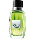Aqua Verde