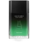 Pour Homme Wild Mint