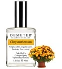 Chrysanthemum