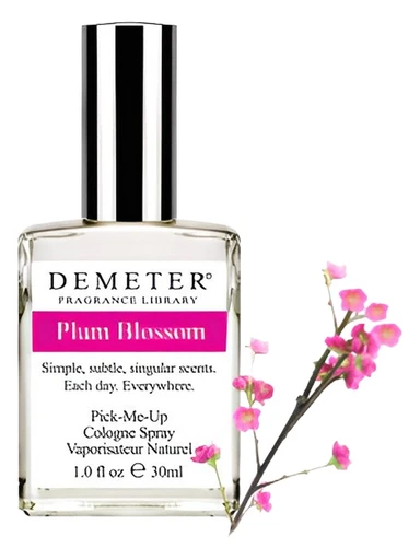 Plum Blossom