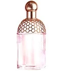 Aqua Allegoria Cherry Blossom