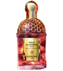 Aqua Allegoria Forte Rosa Palissandro