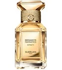 Bergamote Fantastico Extrait 11
