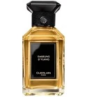 Embruns d'Ylang