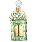 Muguet 2024