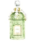 Muguet Millésime 2020