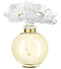 Nilang Extrait de Parfum 2011