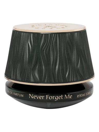 Never Forget Me
