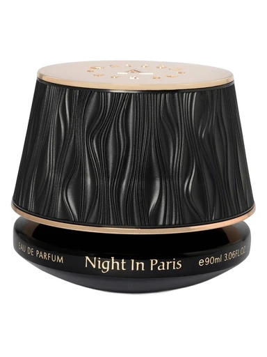 Night In Paris