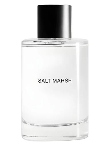 Salt March