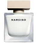 Narciso