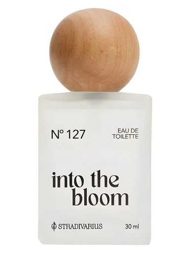 Nᵒ127 Into the Bloom