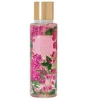 Dreamy Petals