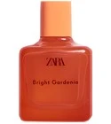 Bright Gardenia