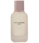 Cashmere Musk