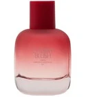 Cherry Blush