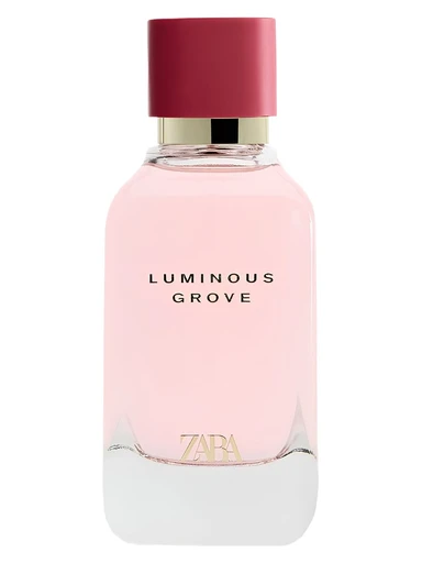 Luminous Grove