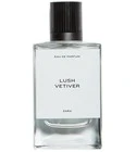 Lush Vetiver