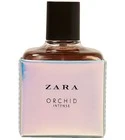 Orchid Intense 2017