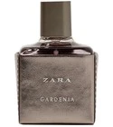 Gardenia 2017